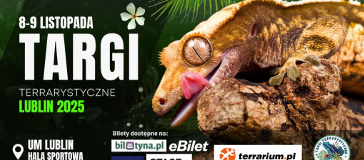 Exoticarium Lublin 2025 – wielkie święto miłośników zwierząt egzotycznych
